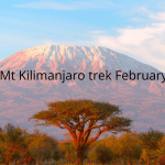 IMSG Mt Kilimanjaro trek February 2025